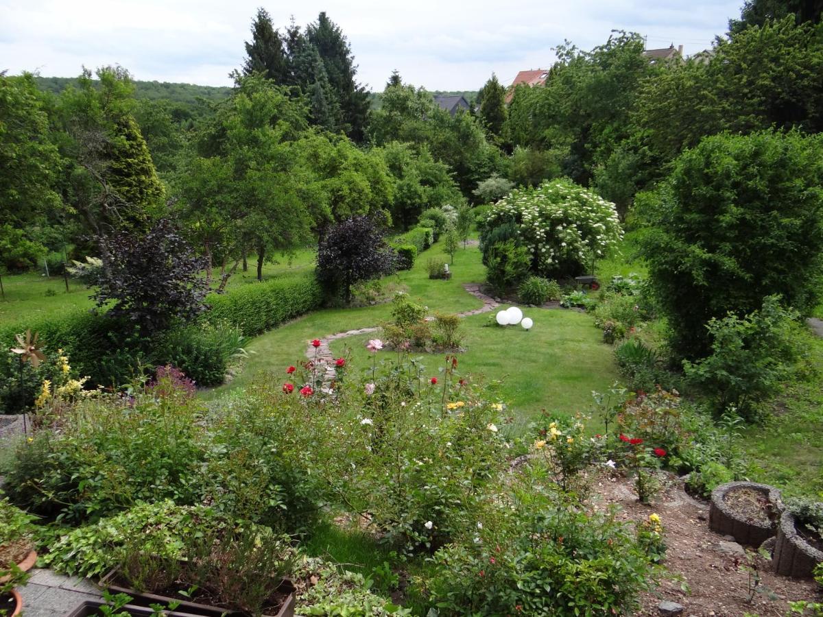 Ferienwohnung Grosswald Saarbrücken Esterno foto